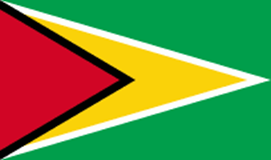 Bandera Guyana