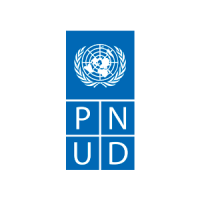 pnud.png